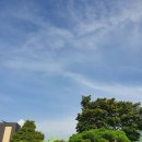 정도의료소비자생활협동조합정도한의원 이미지