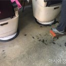 서울이용원 이미지