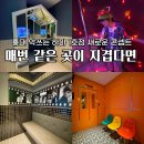 코인악쓰는하마 노래연습장 홍대1호점 | 홍대 악쓰는하마 1호점 콘셉트 다양한 이색 코인노래방