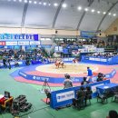 문경 씨름장 이미지