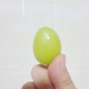 채니농장 이미지