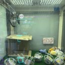 더뽑기뽑기 이미지