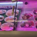 신개념상회정육식당 네이버블로그