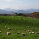 노선목장 이미지