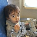 위더스풀빌라민박 서귀포점 | 제주도 서귀포 아기랑 숙소, 봉주르 제주