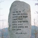 일송 이미지