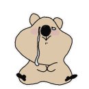 밝은이비인후과의원 이미지