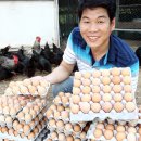 길용2농장 이미지