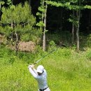 한강골프스쿨 이미지