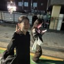 볼디스커피