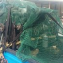 정연자동차공업사 이미지