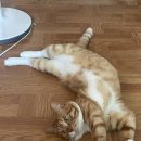 반디스테이 이미지