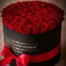 봄소리어린이집 이미지