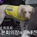 조이의원 네이버블로그