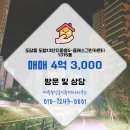 도담동_도램 1315동 앞 | 세종중앙공인중개사사무소 도램13단지중흥S-클래스그린카운티 1315동 매매 4억 3,000