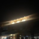 초호 | [파주 숙소] 파주 초호 펜션🦙 알파카 밥주기 체험, 토끼, 거위 있는 숙소 가족펜션 감성숙소 내돈내산 후기