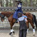 대릉원 | 경주 벚꽃 명소 대릉원 돌담길 축제 후기 (주차 정보 포함)