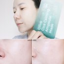 ㈜세일 | 12월 올영세일 기간 추천템 진정 마스크팩 후 시카 보습 제대로 프리메이 후기