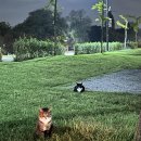 금은모래 캠핑장 이미지