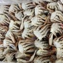 국산 절단 황게 판매 안내 이미지