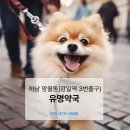 유명프라자약국 이미지