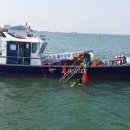 비안도수산 이미지