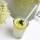 (주)자연과자원 이미지