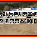 원평팜스테이마을 이미지