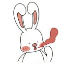 댕댕맛집 이미지