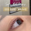 아이룸뷰티 | 광주 용봉동속눈썹 모노아이룸 후기ㅣ속눈썹펌 잘하는 곳