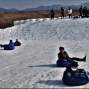 백마권역 이미지