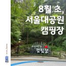 텐트 - 예약, 주차, 카트, 계곡 물놀이, 대여물품, 벌레, 모기 (8월 초 천둥번개치는 우중 캠핑 후기)