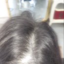 갈롱헤어 | 울산신정동 갈롱헤어에서 새롭게 변신한 갈롱헤어 모류교정 리프팅펌 후기