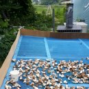 문수농장 이미지