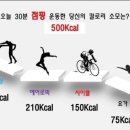 애플핏점핑다이어트