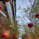 마곡온천관광지 이미지