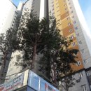 굿모닝세차장 이미지