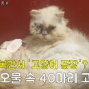 연은동물병원 이미지