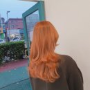 헤담살롱
