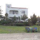 C&P 티스토리