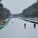 거창여행 2025년 첫주말 수승대 눈썰매장 출동/ 무빙워크있는 경남 눈썰매장/ 눈썰매 타러갔다가 눈...