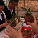 재미농장 이미지