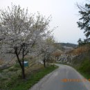 수곡낚시터(어은저수지) 이미지