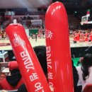 비앤케이(BNK) | 농구 | BNK썸 플레이오프 2차전 사직실내체육관 익사이팅석 직관 후기