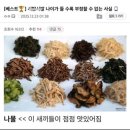 왔다 분식 튀김 | 대전 중앙시장 쯔양 떡볶이 에이스분식 튀김이 정말 굿