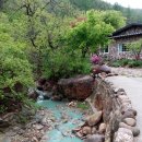 파란 소나기 조선일보