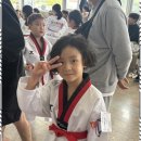 건강한태권도 | 다정동줄넘기 아이들의 건강한 성장을 이끄는 다정동 TL태권도 후기