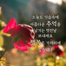 시간적풍요로움