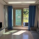 민들레미코 이미지