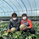 다성농장 이미지